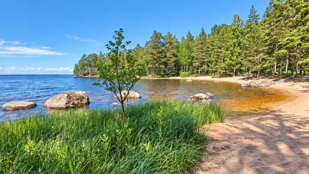 Quiet beach by Lake Skagern